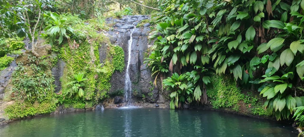 Gite Kaz A Topaze, Piscine, Jardin Tropical Сент-Роз Экстерьер фото