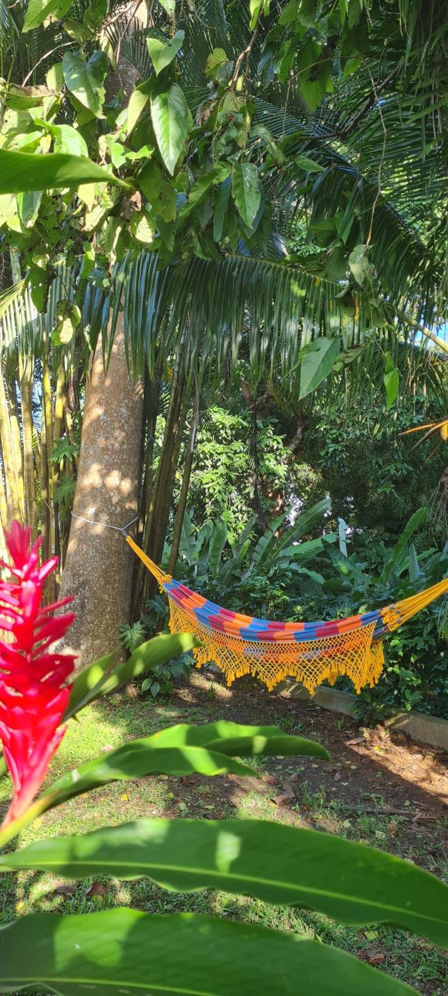Gite Kaz A Topaze, Piscine, Jardin Tropical Сент-Роз Экстерьер фото